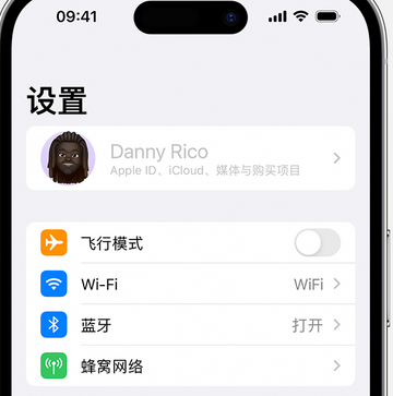 金坛appleID维修服务iPhone设置中Apple ID显示为灰色无法使用 