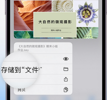 金坛apple维修中心分享iPhone文件应用中存储和找到下载文件