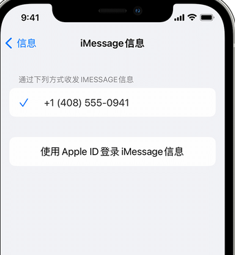 金坛apple维修iPhone上无法正常发送iMessage信息 