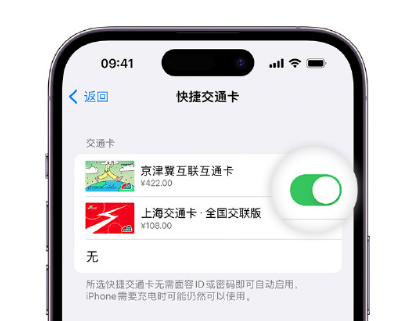 金坛apple维修点分享iPhone上更换Apple Pay快捷交通卡手绘卡面 