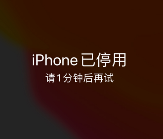 金坛苹果手机维修分享:iPhone 显示“不可用”或“已停用”怎么办？还能保留数据吗？ 