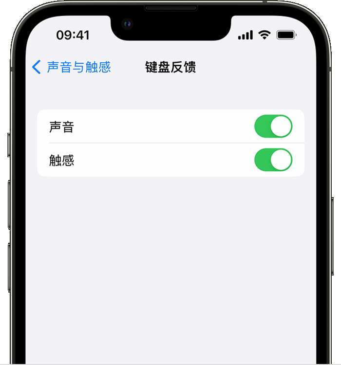 金坛苹果14维修店分享如何在 iPhone 14 机型中使用触感键盘 