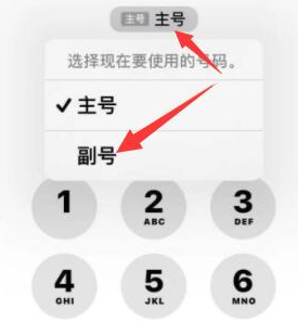 金坛苹果14维修店分享iPhone 14 Pro Max使用副卡打电话的方法 