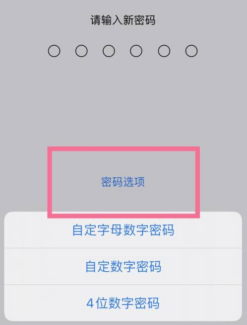 金坛苹果14维修分享iPhone 14plus设置密码的方法 