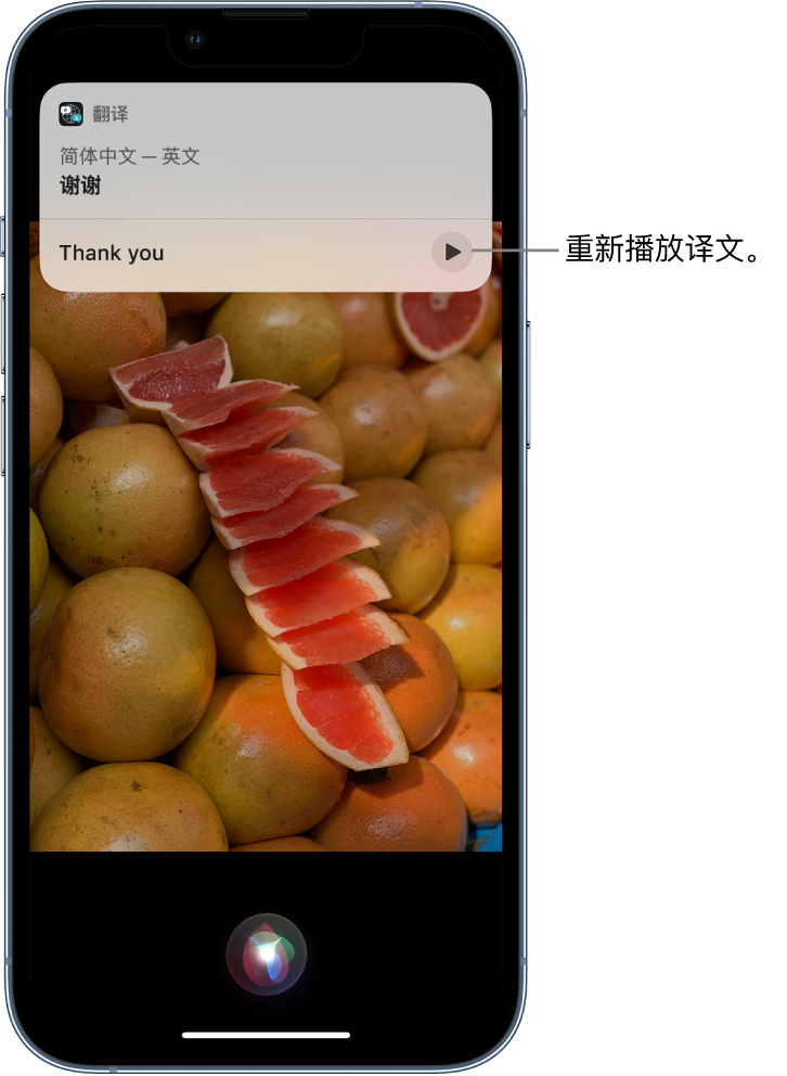 金坛苹果14维修分享 iPhone 14 机型中使用 Siri：了解 Siri 能帮你做什么 