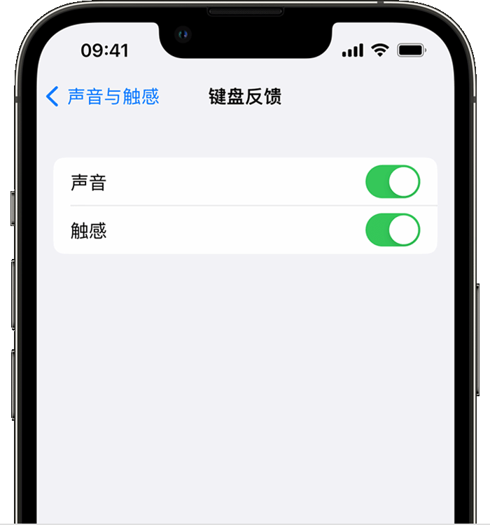 金坛苹果14维修分享iPhone 14 系列机型如何开启键盘声音或触感反馈 