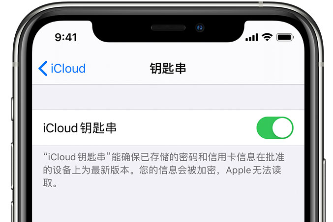 金坛苹果手机维修分享在 iPhone 上开启 iCloud 钥匙串之后会储存哪些信息 