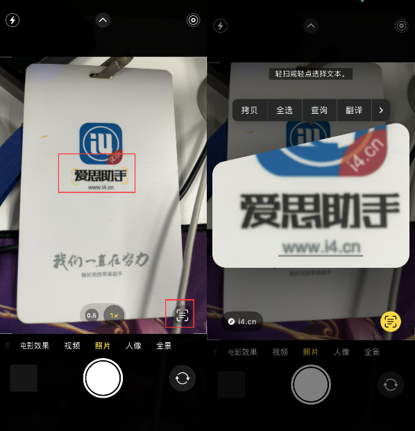 金坛苹果手机维修分享升级iOS 16后如何通过相机翻译文本 