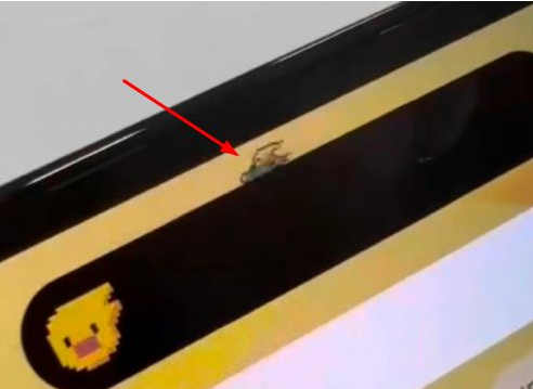 金坛苹果14维修分享iPhone 14 Pro Max灵动岛怎么养宠物 