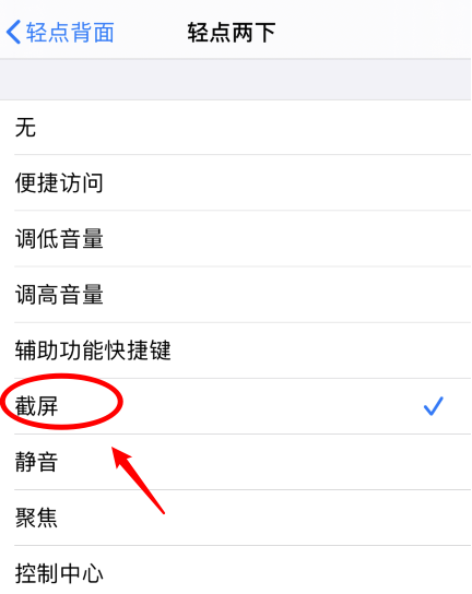 金坛苹果手机维修分享iPhone12如何启用双击截屏 